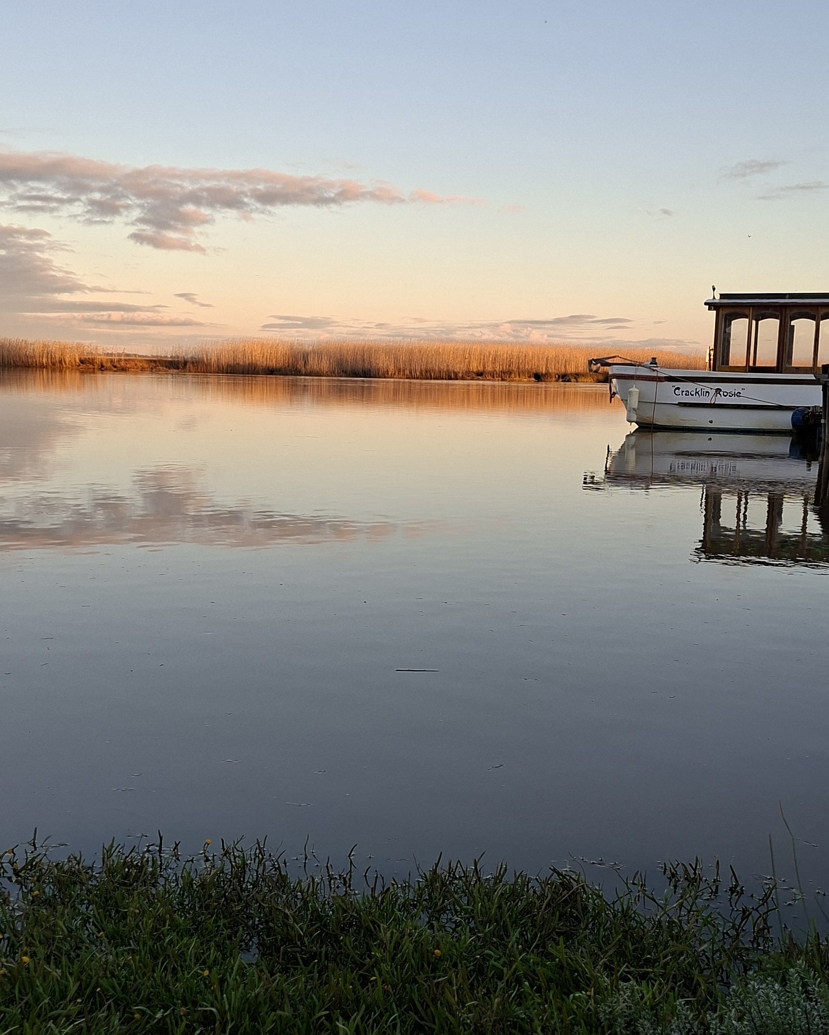 604650066 1261129736034821 8091508651535723627 n