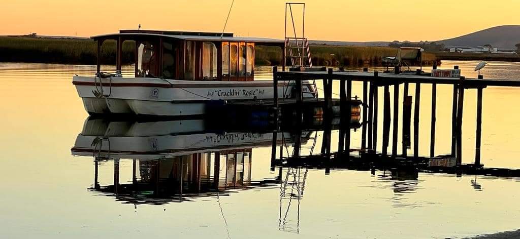 whatsapp image 2026 02 09 at 11.27.37 (1)