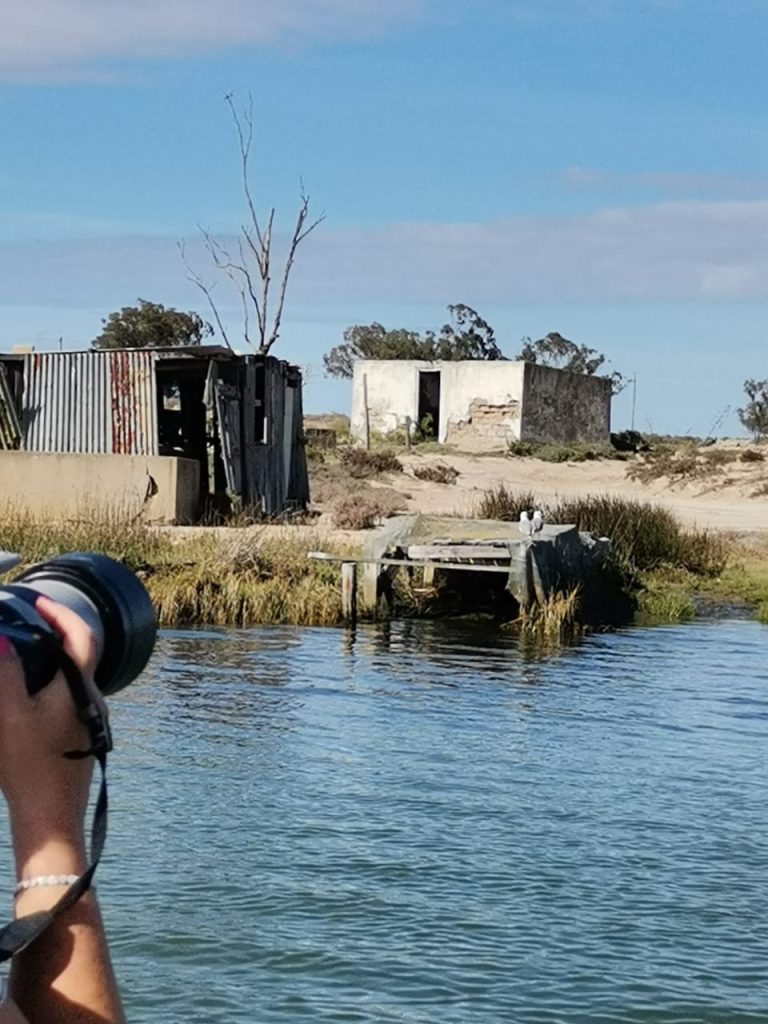 whatsapp image 2026 02 09 at 11.27.38 (3)