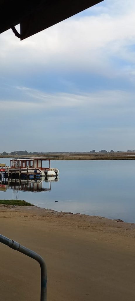 whatsapp image 2026 02 09 at 11.27.38