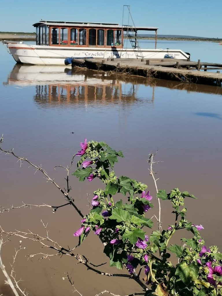 whatsapp image 2026 02 09 at 11.27.39