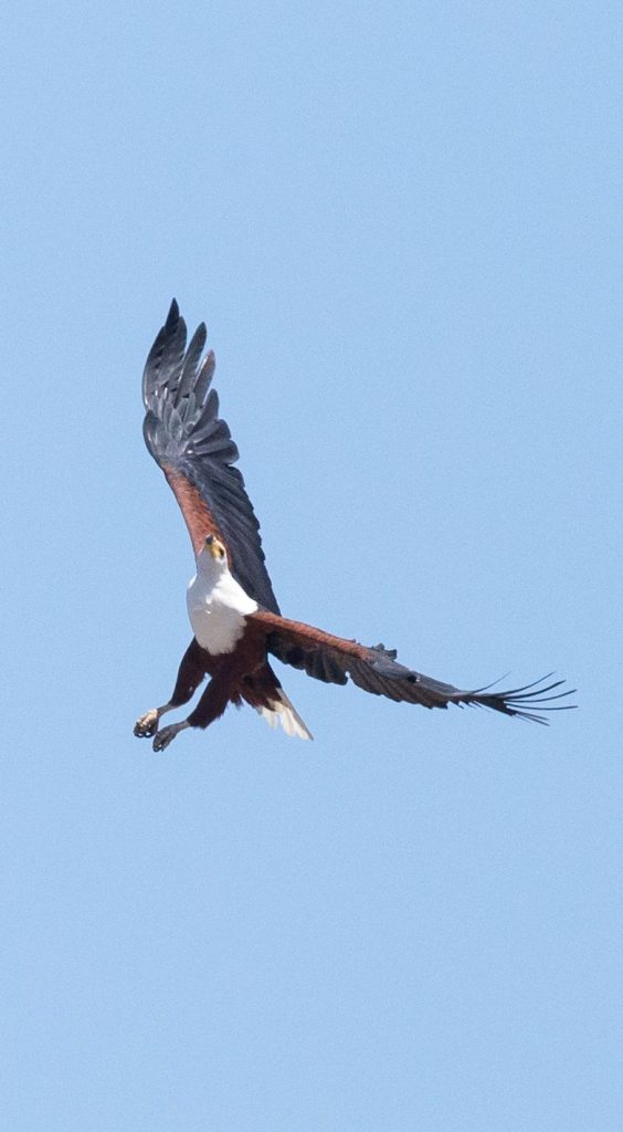 whatsapp image 2026 02 09 at 11.28.05