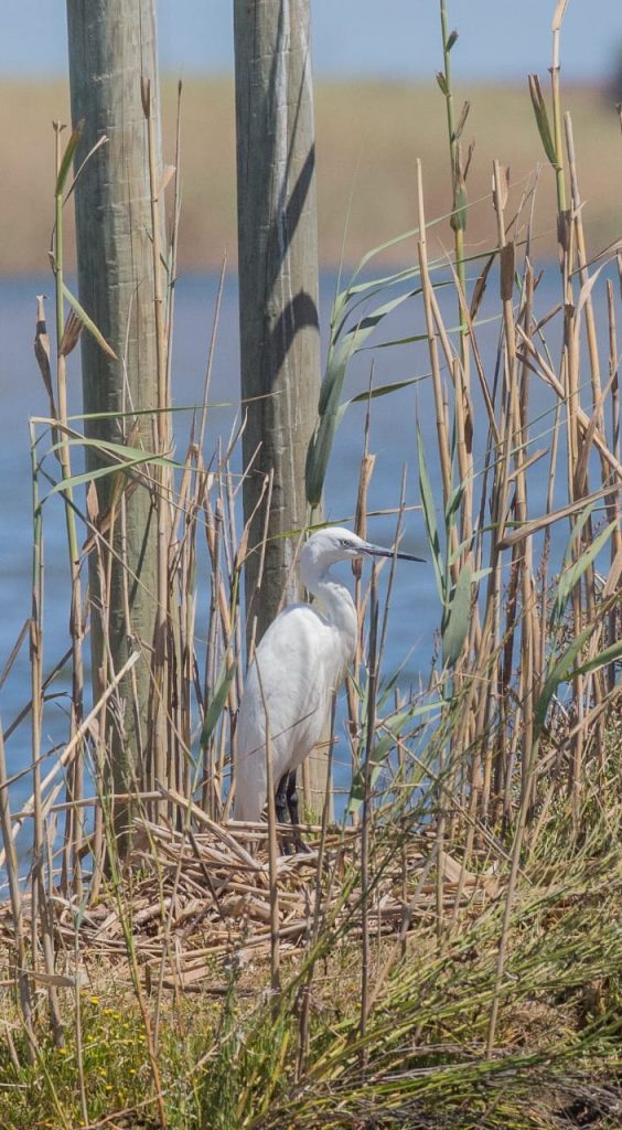 whatsapp image 2026 02 09 at 11.28.08 (1)