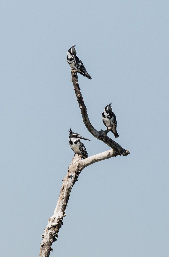 whatsapp image 2026 02 09 at 11.28.08 (2)