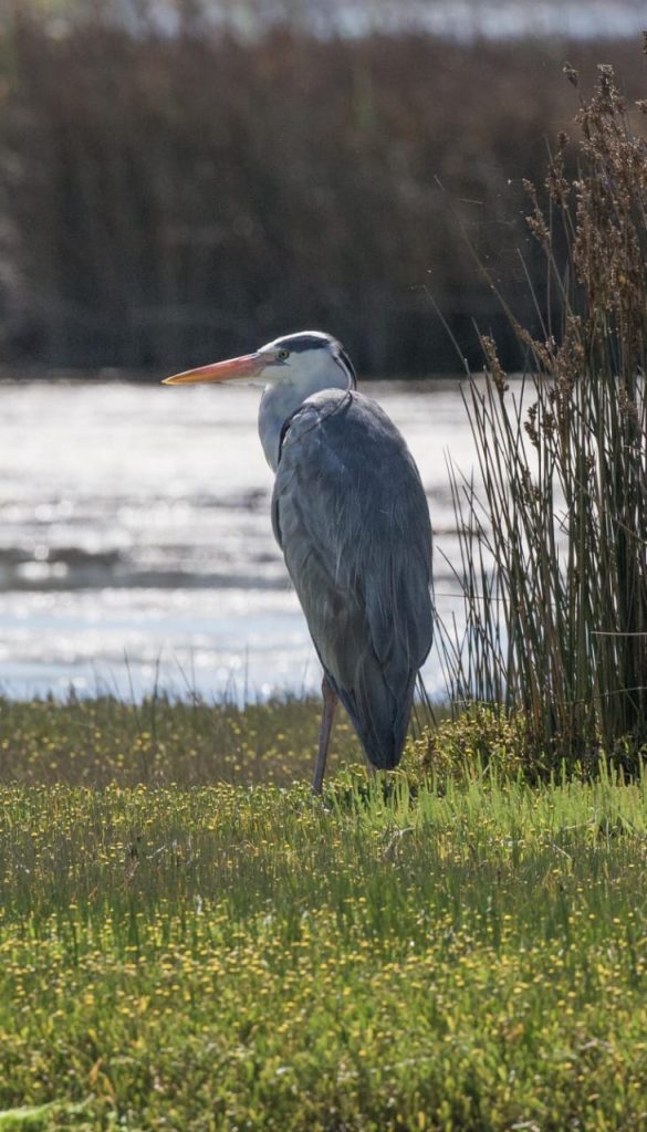 whatsapp image 2026 02 09 at 11.28.08 (3)